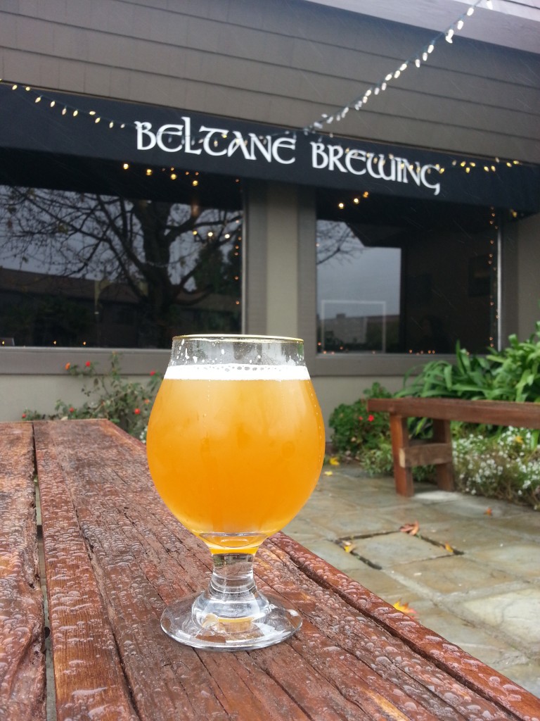 五朔酿造的Saison套房