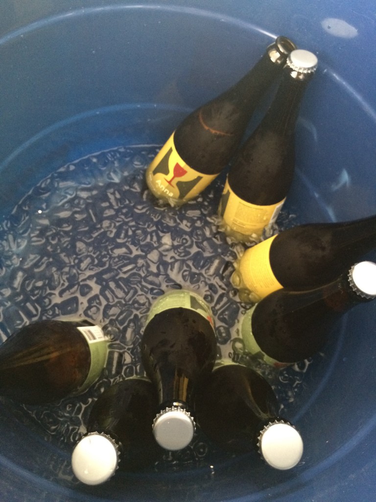 山农庄瓶 - 安娜和亚瑟FredFest