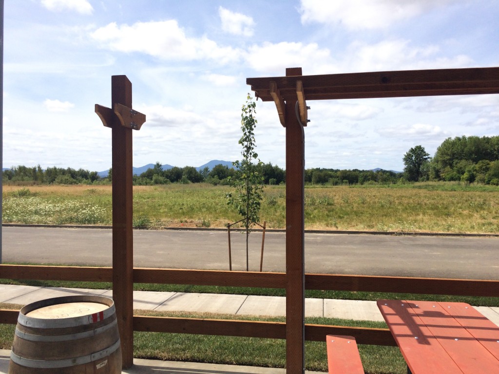 玛丽的山顶景观在街区15个啤酒厂和自来水室