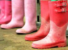 图片由粉红色的靴子协会提供