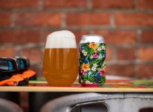 钩子的藏匿苍白的图像礼貌阿斯兰酿造