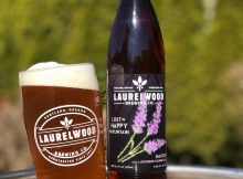 《迷失在欢乐山》的图像，由Laurelwood Brewing提供