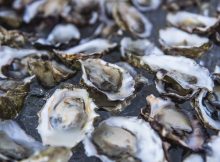 牡蛎图片由Chill N Fill提供
