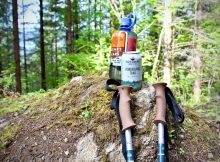 图片由两只啤酒酿造有限公司提供