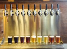 Chuckanut啤酒厂提供的啤酒品酒师形象