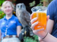 俄勒冈动物园在短暂的中断后返回动物园酿造。(图片由俄勒冈动物园提供)