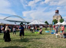 在波特兰精酿啤酒节(Portland Craft Beer Festival)上，可以看到弗里蒙特桥(Fremont Bridge)和老磨坊的景色。