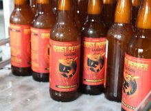 鬼魂胡椒雪人的图象由鬼鱼酿造礼貌