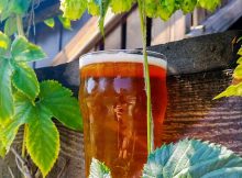 Sizzle Juice Fresh Hop IPA的图像由Cascade Lakes Brewing提供