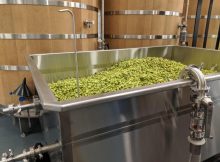 新鲜啤酒花的图像由von Ebert Brewing  -  Glendoveer提供