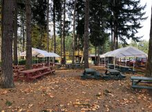 弯曲的铲子酿造啤酒园的新临时家庭的图像由弯曲的铲子酿造