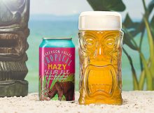 安德森山谷酿酒公司热带朦胧酸麦芽酒