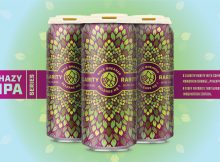 Bale Breaker Brewing Co.清晰度罕见朦胧的IPA发布1号