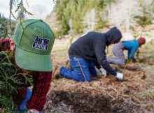 苹果种子行动的形象由尊贵花园俱乐部提供