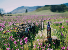 春天的图像由Pfriem家庭酿酒商提供