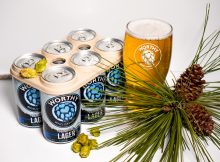 Tenmile Dry hopping Lager的图片由Worthy Brewing提供