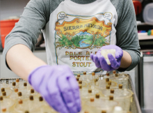 通过利用其啤酒厂实验室进行测试，塞拉尼达达酿造加入对抗Covid-19的斗争。（图片由塞拉尼达达酿造）