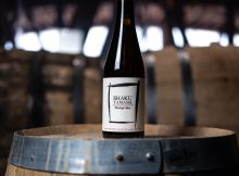 Shaku Yamame的形象由von Ebert Brewing提供