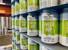 在未来的日子里堆积的新鲜啤酒花IPA的堆栈。（图片由两只啤酒酿造有限公司提供