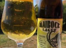 查卡努特啤酒厂提供的麦博克啤酒图片