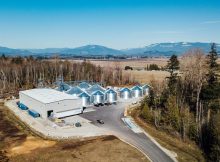 图片由Skagit Valley Malting提供