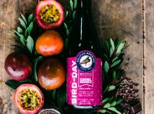 鸟天第1卷的形象1由鹈鹕酿造提供