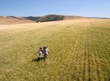 Alyssa和Phil在Mainstem麦芽大麦中的形象