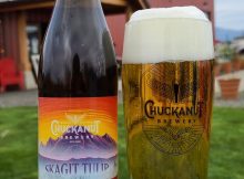 Skagit郁金香啤酒的图象由chuckanut啤酒厂礼貌