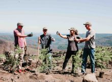 俄勒冈公园永远和四家俄勒冈工艺饮料公司合作野火恢复。(图片由俄勒冈公园永久提供)