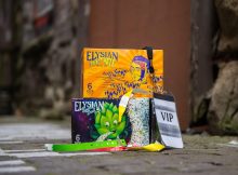 Elysian Brewing正在庆祝Live音乐的回归，欢呼到现场音乐。（图片由Elysian Brewing提供）