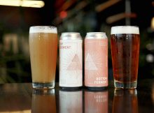 由Ferment Brewing提供的Bright West IPA和Helles Bock的图像
